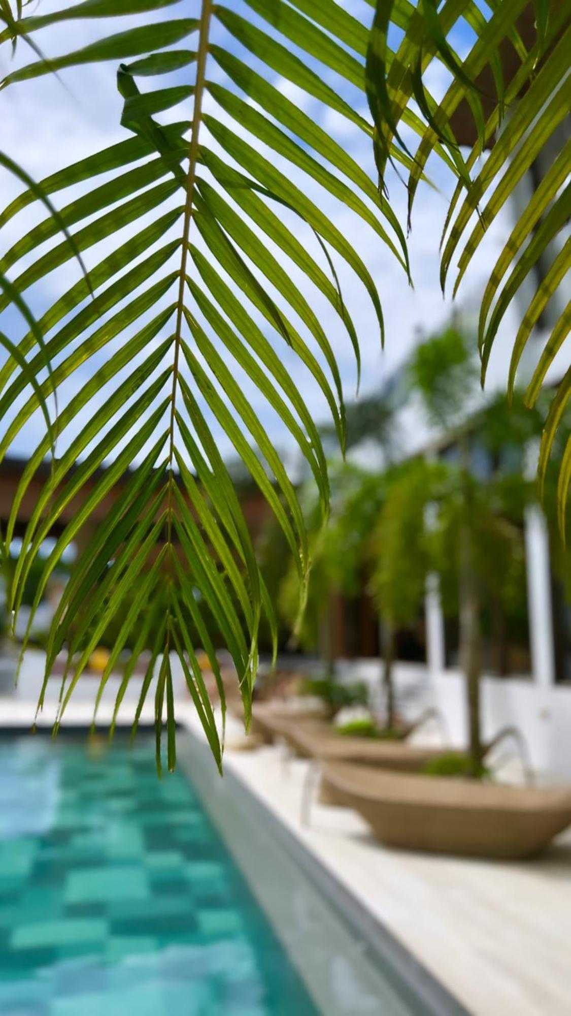 Ahana Resort エルニド エクステリア 写真